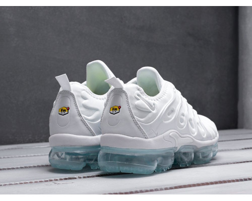 Кроссовки Nike Air VaporMax Plus