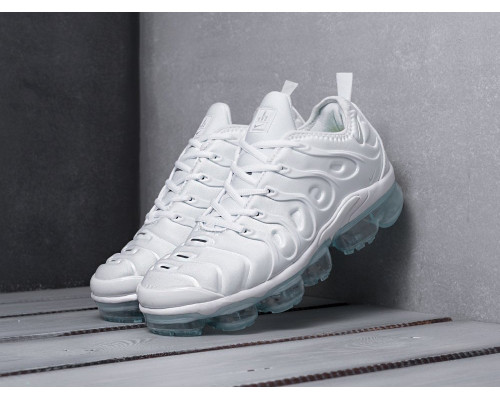 Кроссовки Nike Air VaporMax Plus