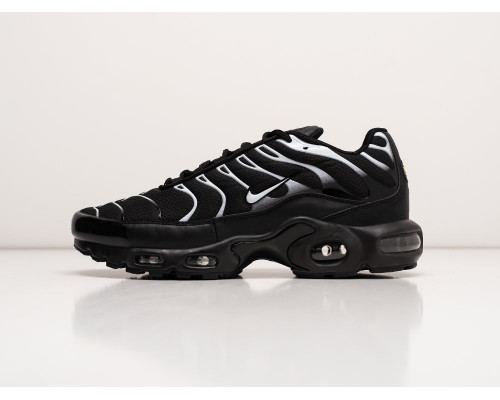 Кроссовки Nike Air Max Plus TN