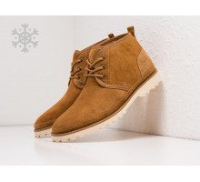 Зимние Ботинки UGG