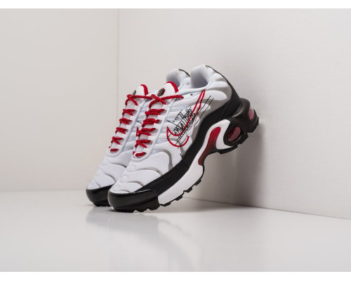 Кроссовки Nike Air Max Plus TN