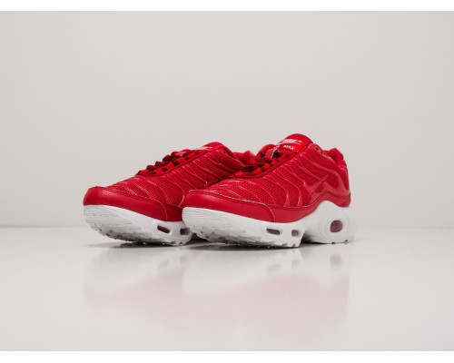 Кроссовки Nike Air Max Plus TN