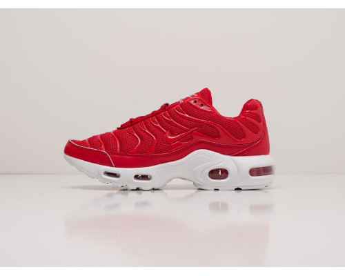 Кроссовки Nike Air Max Plus TN