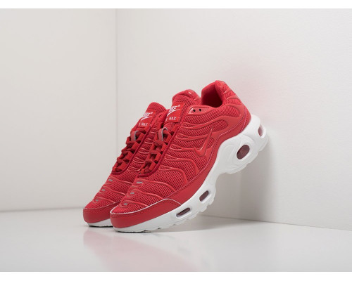 Кроссовки Nike Air Max Plus TN