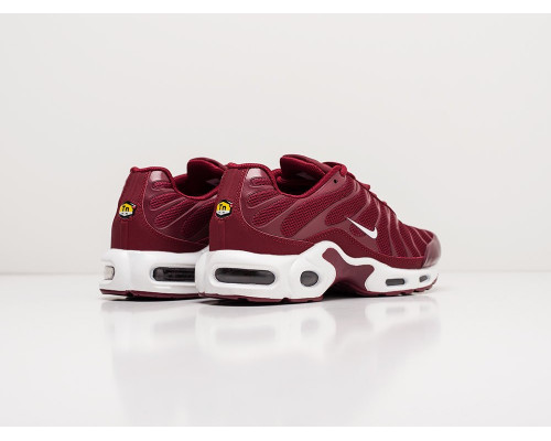 Кроссовки Nike Air Max Plus TN