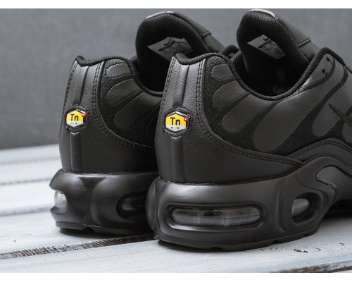 Кроссовки Nike Air Max Plus TN