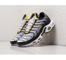 Кроссовки Nike Air Max Plus TN