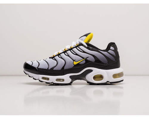 Кроссовки Nike Air Max Plus TN