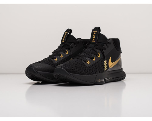 Кроссовки Nike Lebron Witness V