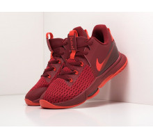 Кроссовки Nike Lebron Witness V