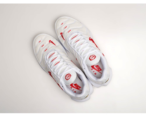 Кроссовки Nike Air Max Plus TN