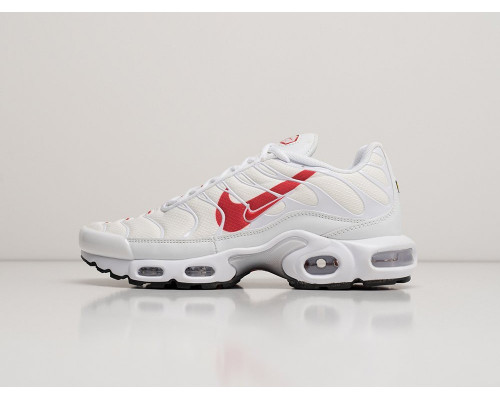 Кроссовки Nike Air Max Plus TN