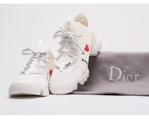 Кроссовки Dior D-Connect