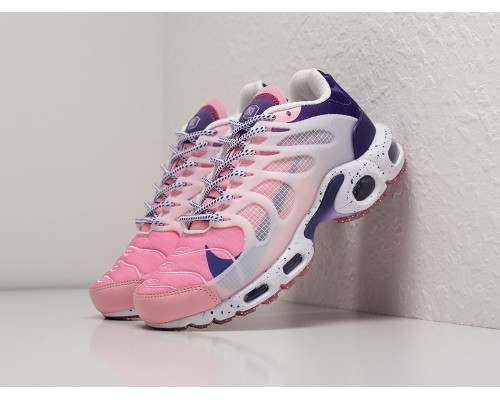 Кроссовки Nike Air Max Terrascape Plus