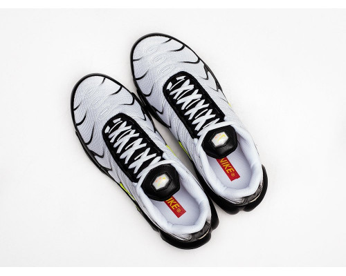 Кроссовки Nike Air Max Plus TN