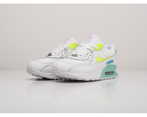 Кроссовки Nike Air Max 90