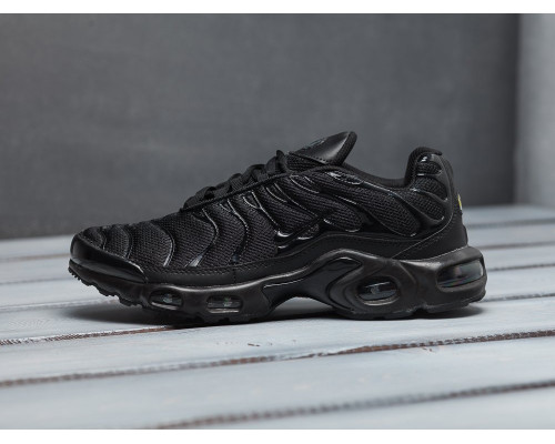 Кроссовки Nike Air Max Plus