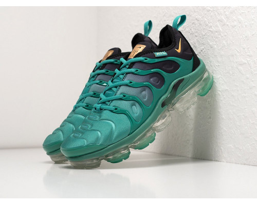 Кроссовки Nike Air VaporMax Plus